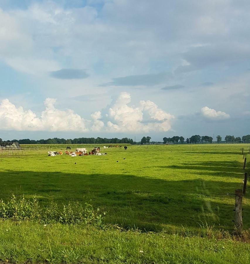 Boerderij Met Atelier Guest House Далфсен Екстериор снимка